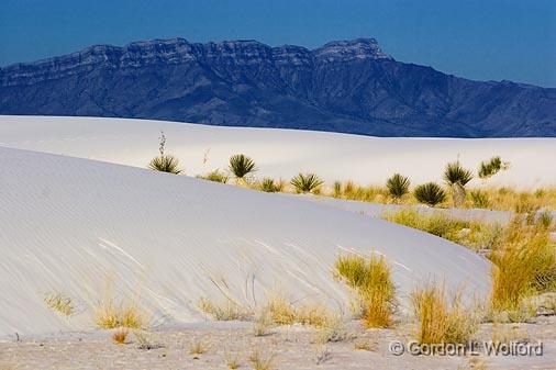 White Sands_32219.jpg - Photographed at the White Sands National Monument near Alamogordo, New Mexico, USA.
